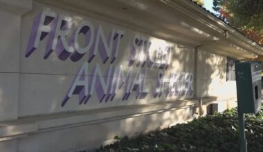 Front Street Animal Shelter pauses intake of healthy stray dogs after Strep Zoo cases
