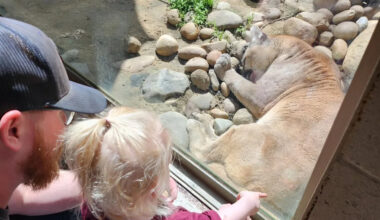 Yahoo lifestyle home