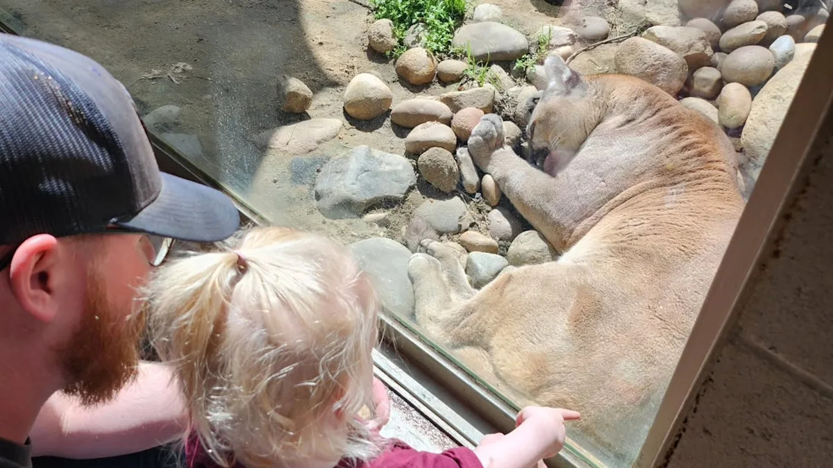 Yahoo lifestyle home