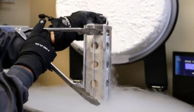 A closer look at California's newest laws