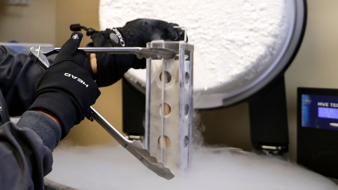 A closer look at California's newest laws