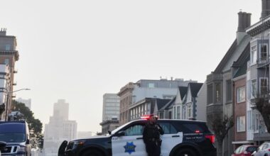 Mountain lion saunters through San Francisco's posh Pacific Heights neighborhood before capture