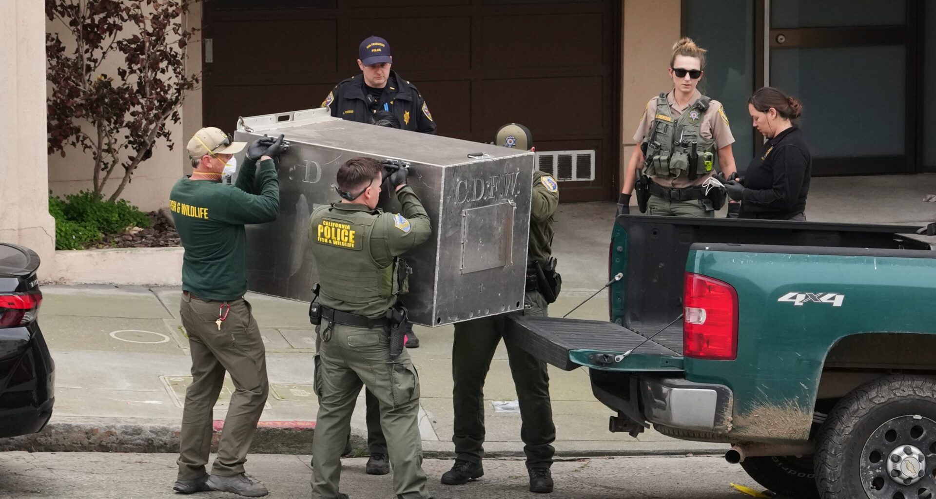 Mountain lion roams posh San Francisco neighborhood before being captured