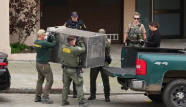 Mountain lion roams posh San Francisco neighborhood before being captured