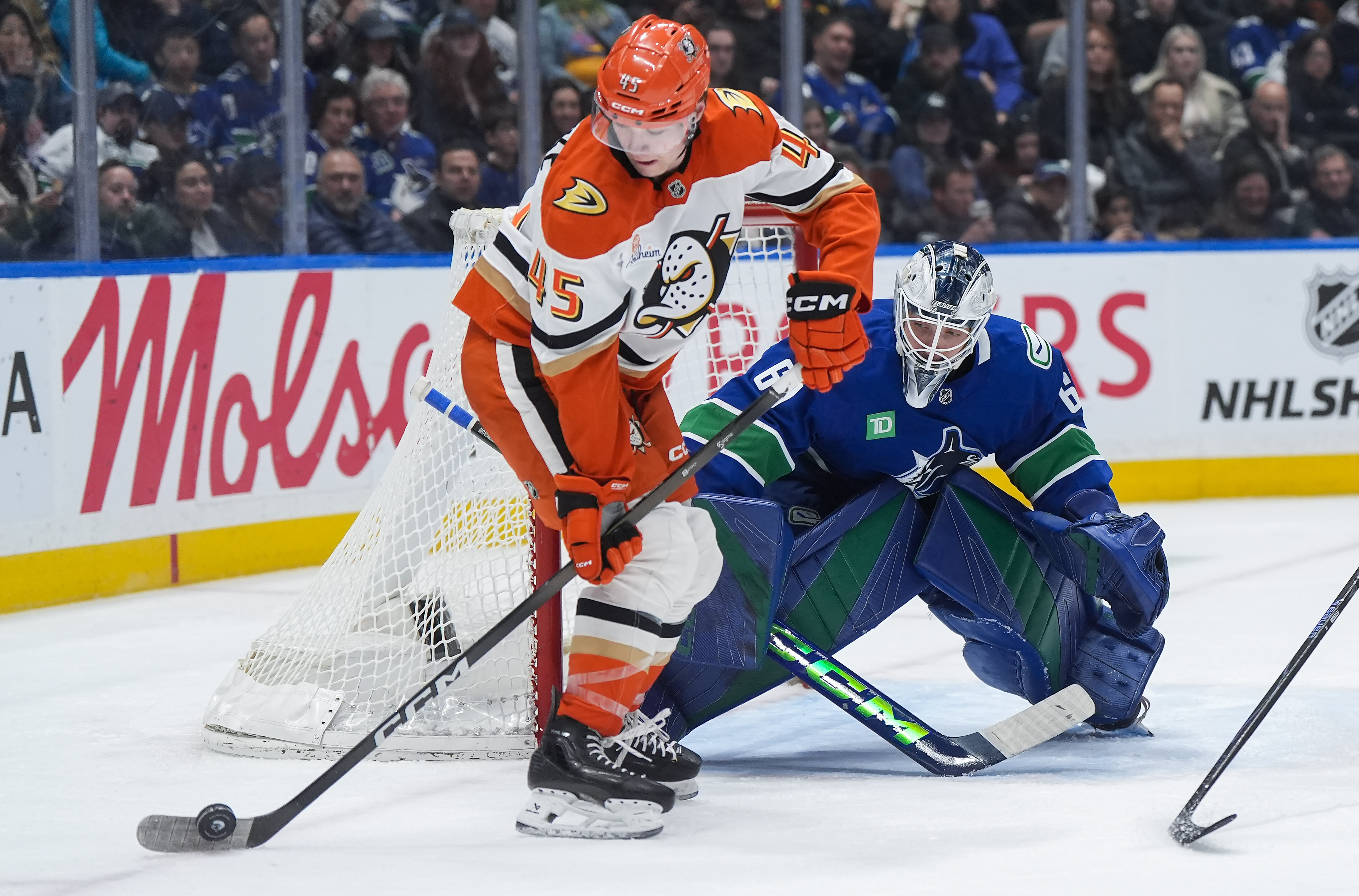 Vancouver Canucks goalie Nikita Tolopilo watches as the Ducks’ Beckett...