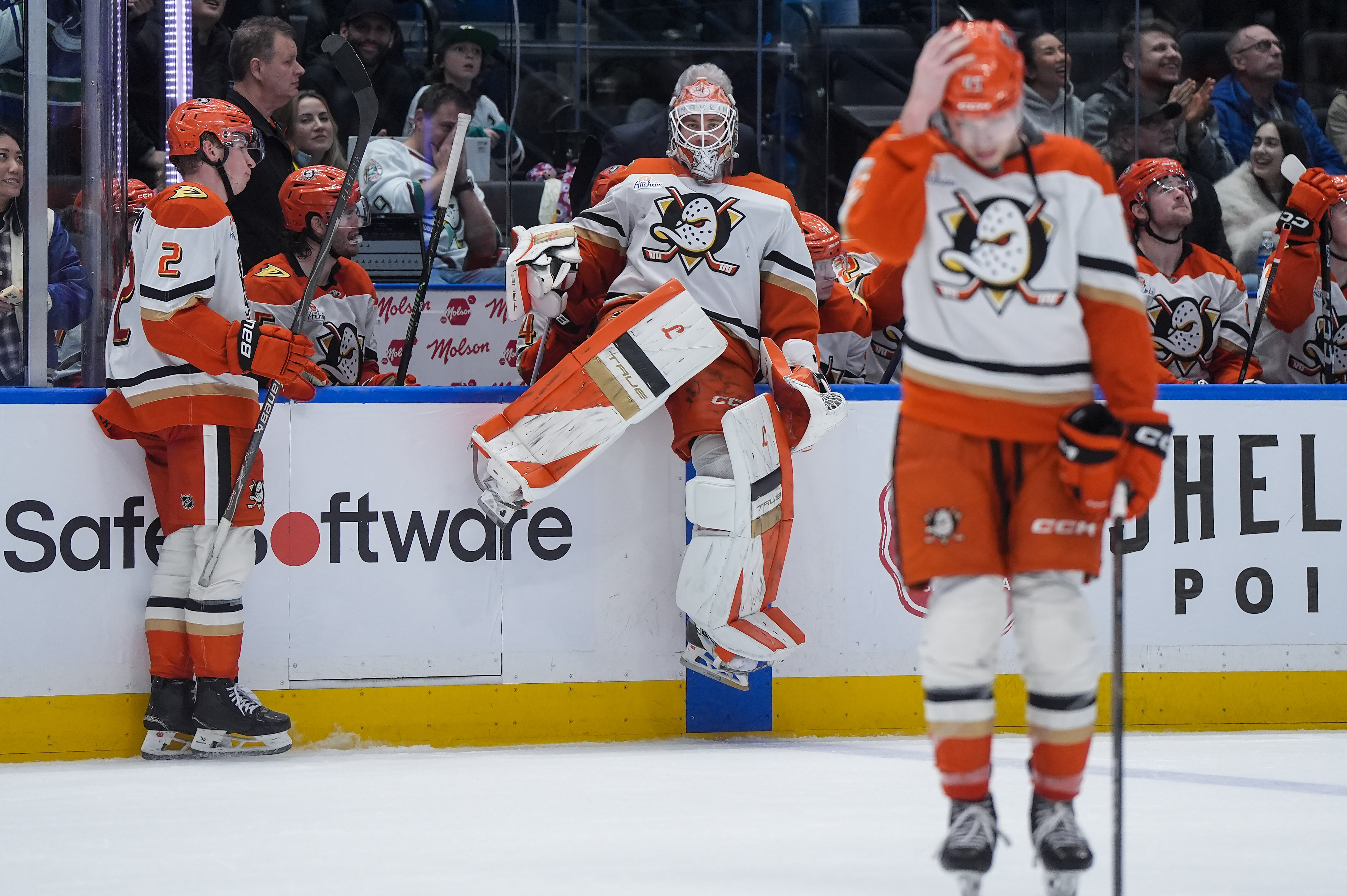 Ducks goaltender Lukas Dostal, back center, comes back onto the...
