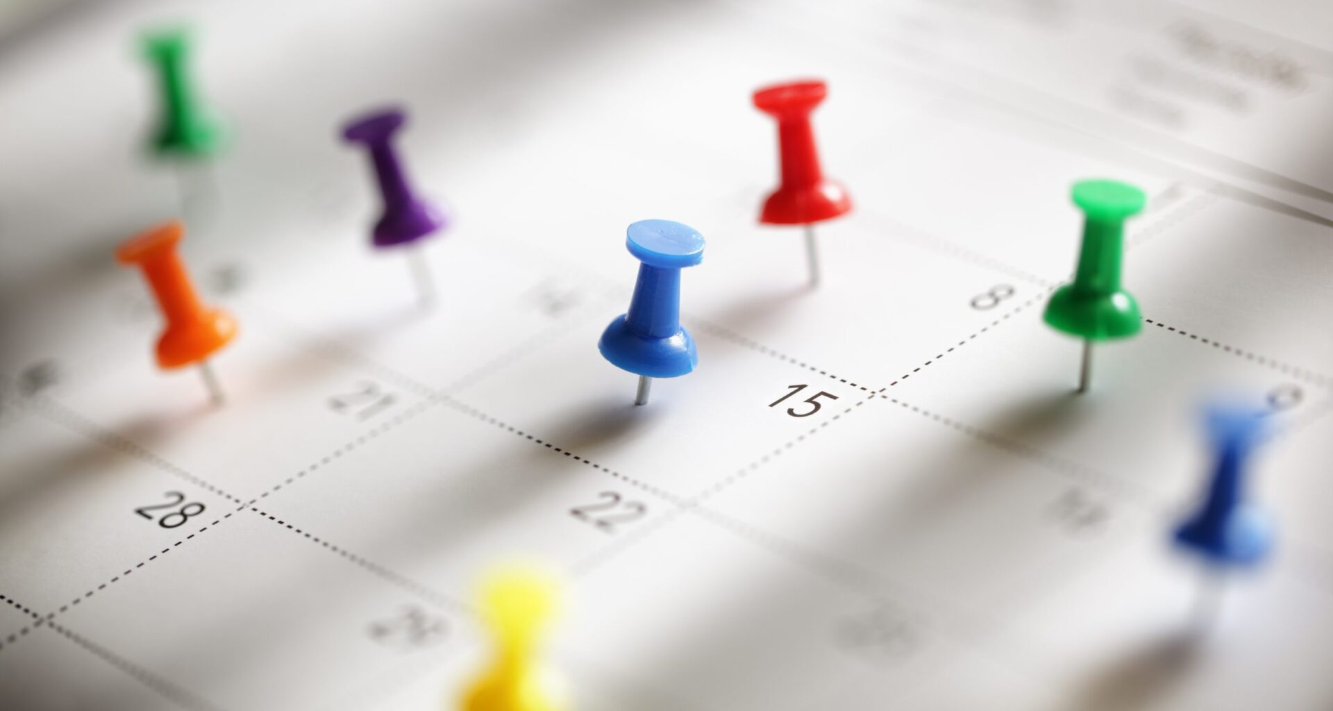 This Weekend in the Valley there's a Carl Schultz show, a San Jose Sharks game, Beetlelady at the library, and a Triton Museum of Art event.