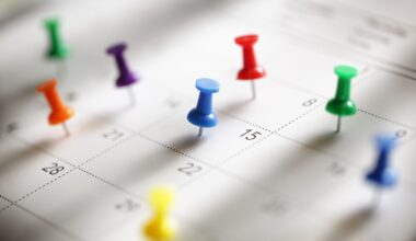 This Weekend in the Valley, there are San Jose Barracuda games, THE WIZ show, a Black History Celebration, and Wellfest event.