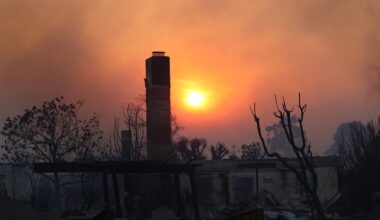 Pacific Palisades, Altadena real estate hit hard: billions lost one year after fires