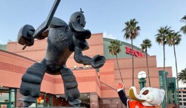 Beware the revenge of Wild Wing – Orange County Register
