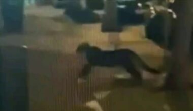 Animal control locates mountain lion in San Francisco – NBC Bay Area