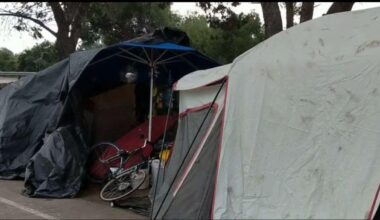 Volunteers work to count San Diego’s homeless population – NBC 7 San Diego