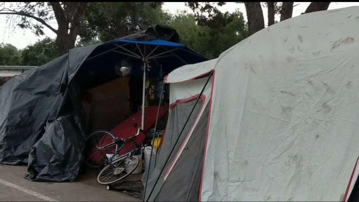 Volunteers work to count San Diego’s homeless population – NBC 7 San Diego