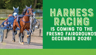The Big Fresno Fair | Blog