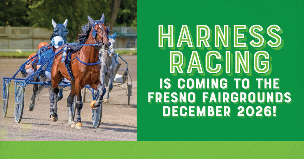 The Big Fresno Fair | Blog