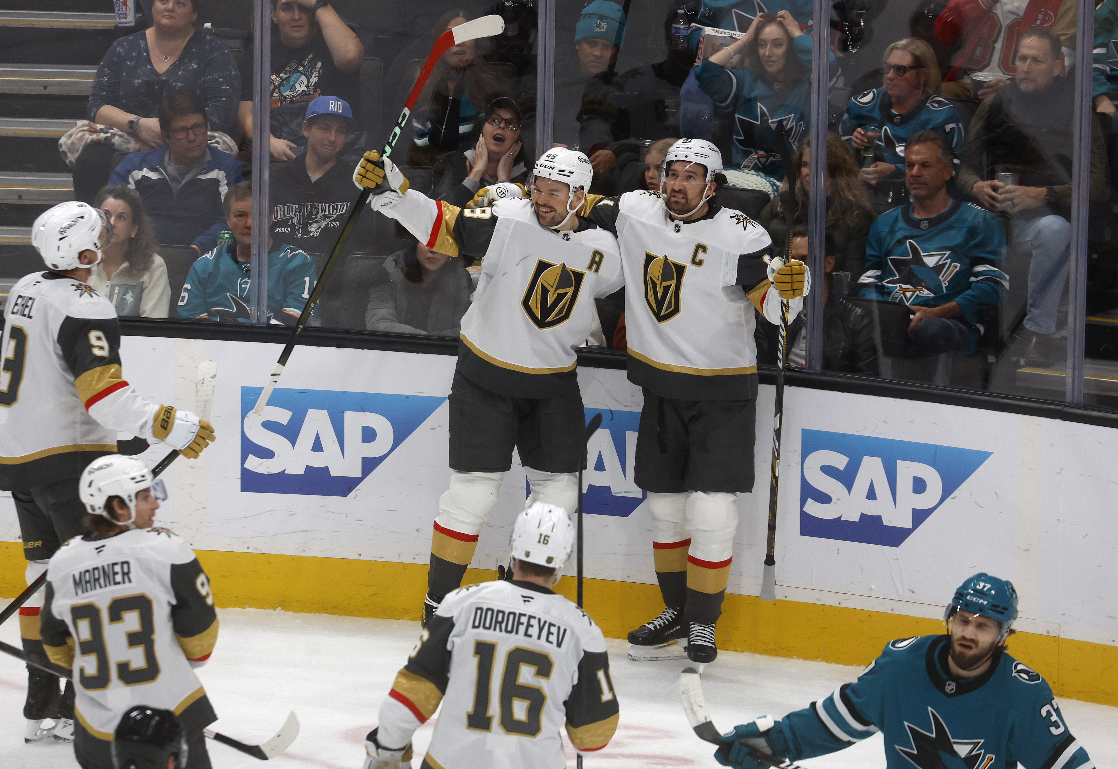 Vegas Golden Knights’ Tomas Hertl (48) celebrates his goal with...