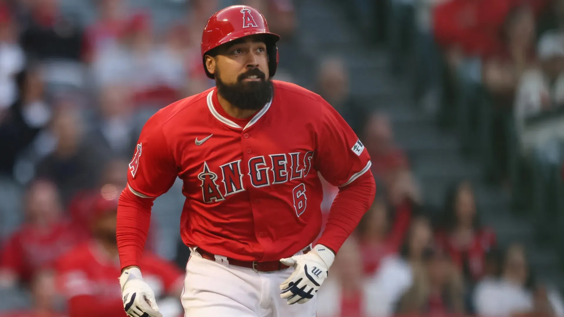 Anthony Rendon #6 of the Los Angeles Angels