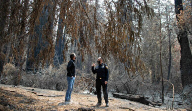 California must create climate-resilient state parks, protect accessibility