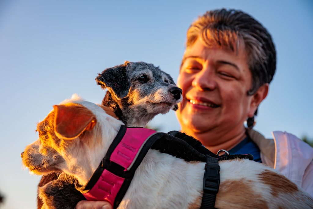 Feb. 11 virtual meeting to discuss proposed dog zone at Junipero Beach