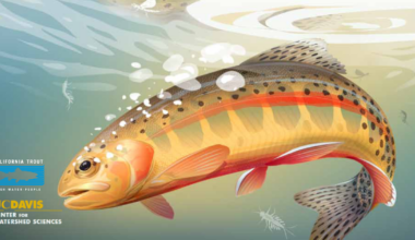 Blog Post Featured Photo (21)