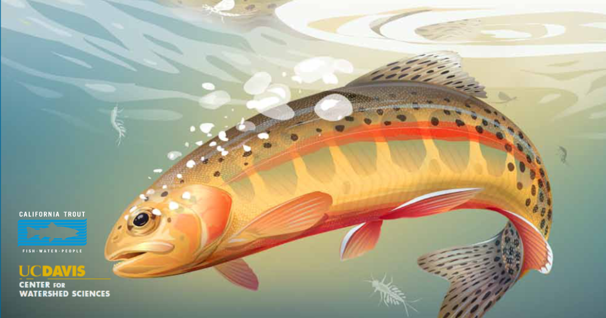 Blog Post Featured Photo (21)