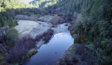 Partnership Advances Water Quality Protections for Critical California Salmon Waters