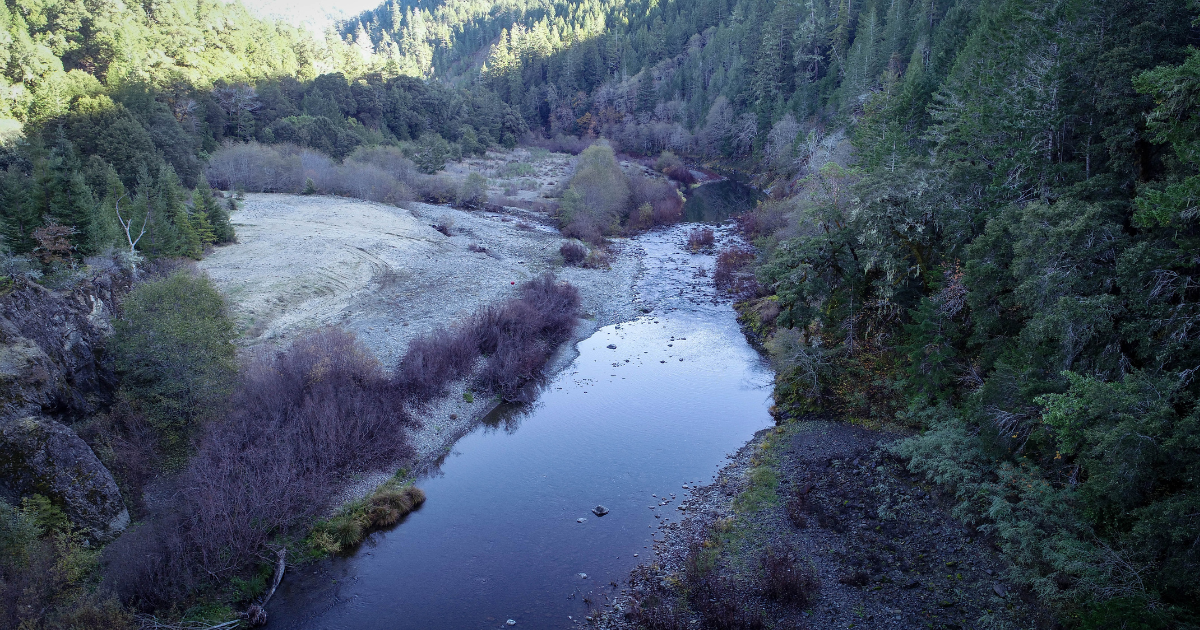 Partnership Advances Water Quality Protections for Critical California Salmon Waters