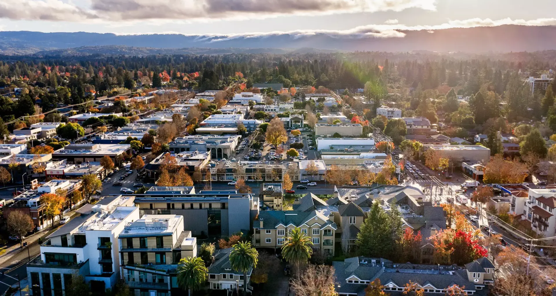 The San Francisco Standard