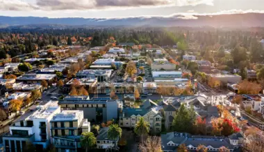 The San Francisco Standard