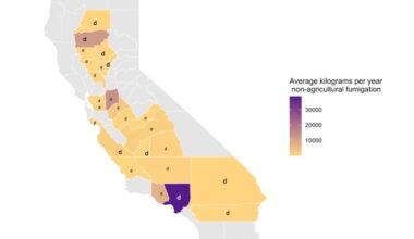 California Still Using Toxic Methyl Bromide Despite Safety Risks
