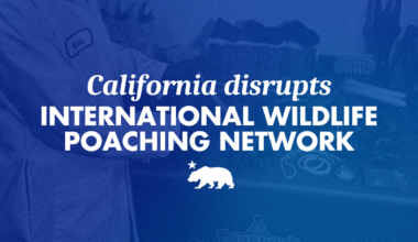 California disrupts international wildlife poaching network