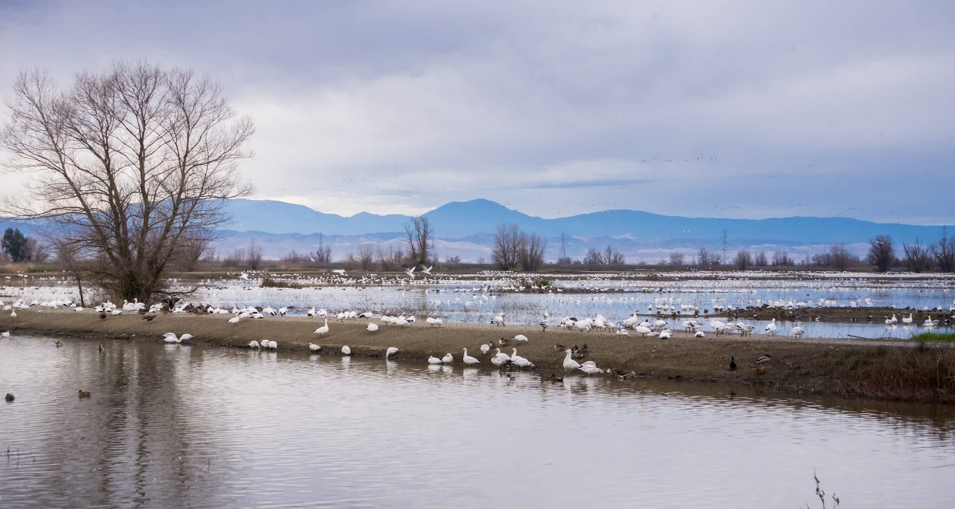 For the first time in more than two decades, California has reached a hopeful milestone — the entire state is officially free of drought.