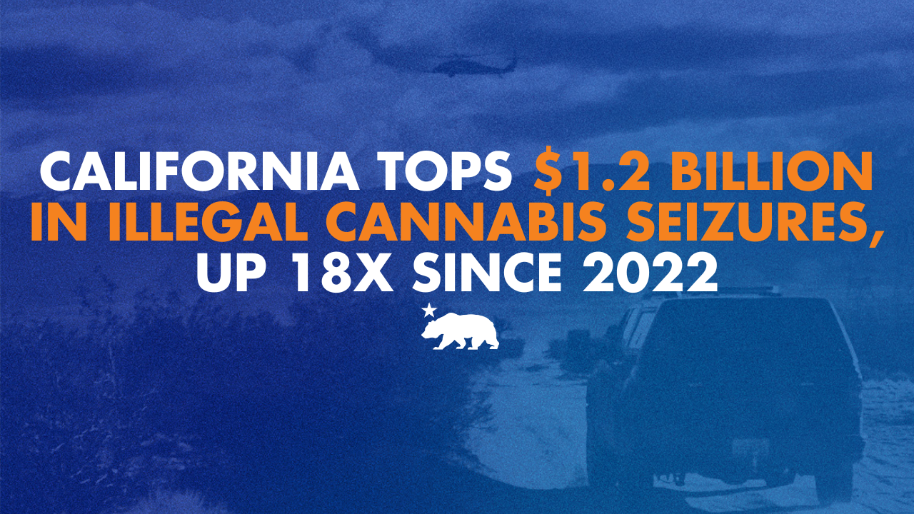 California tops $1.2 billion in illegal cannabis seizures, up 18x since 2022