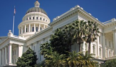 Cat Declawing, Book Censorship Among California’s 2026 Laws