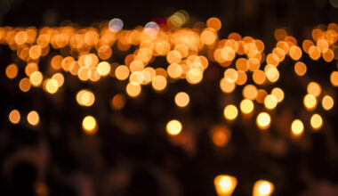 Pedestrian Struck and Killed in Crash on West Park Ave