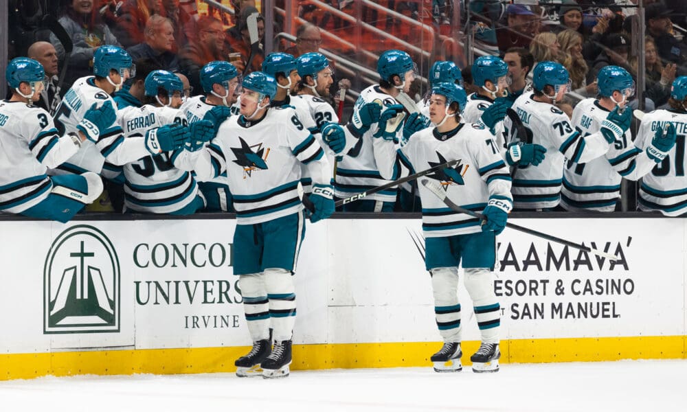 Betting on Sharks Has Been Moneymaker This Year