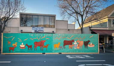 Everything you need to know about the Cheese Board expansion