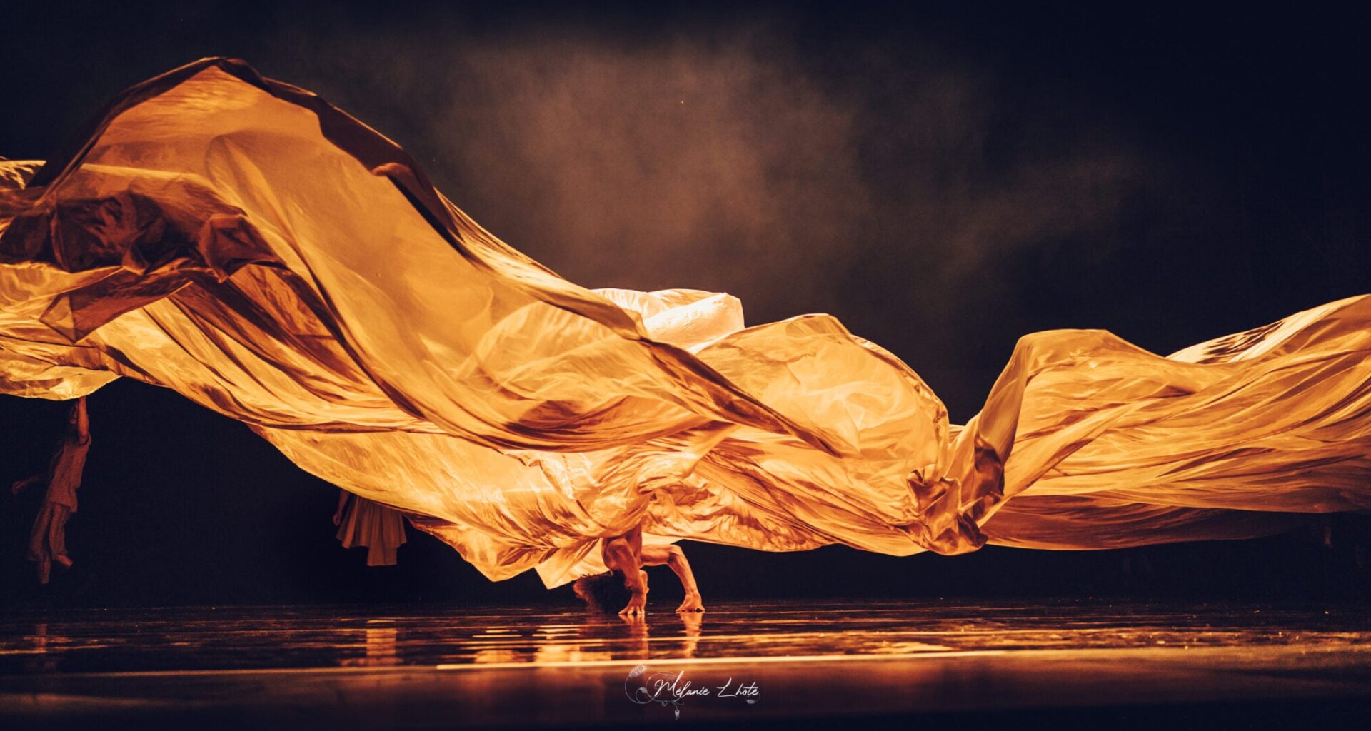 10 Fun Things to Do in San Diego This Month: January 2026