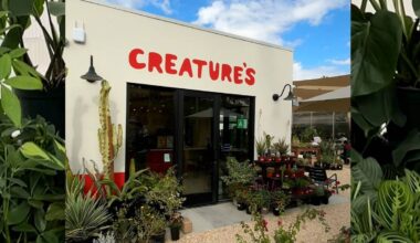 This Hidden Plant Oasis Lets You Sip Coffee And Shop Greenery