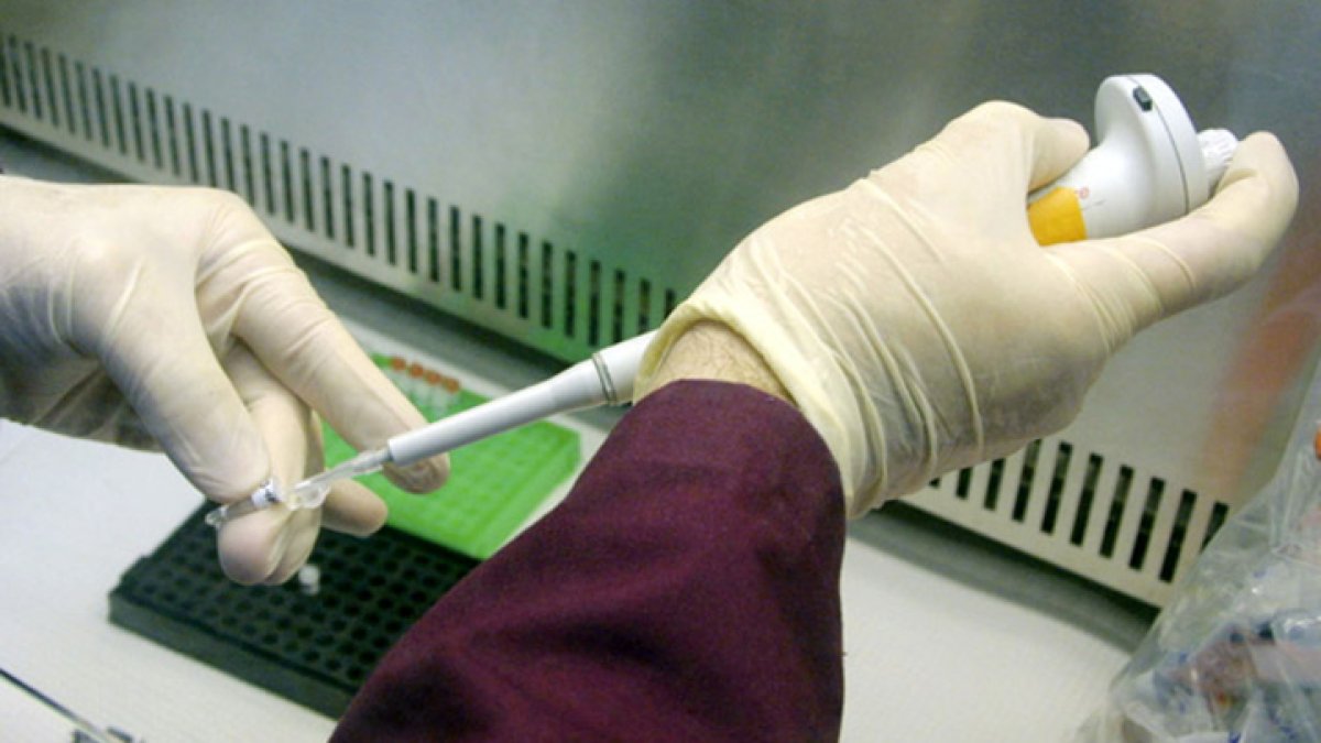 Custom-made DNA-crafted drugs improve cancer outcomes, per UC San Diego study – NBC 7 San Diego