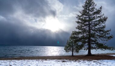 California is drought free, yet snow drought plagues most of the west: Why, and how Tahoe fares