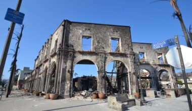 California Fire Insurance Crisis: Pacific Palisades Recovery Gaps