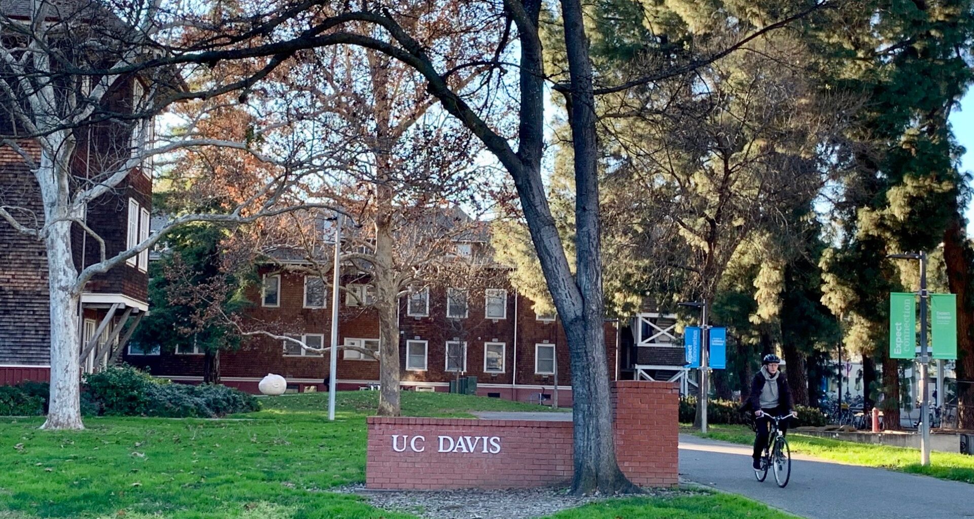 Sacramento-area instructors, students will return to a tense landscape as measure to stop antisemitism collides with questions of free speech   • Sacramento News & Review