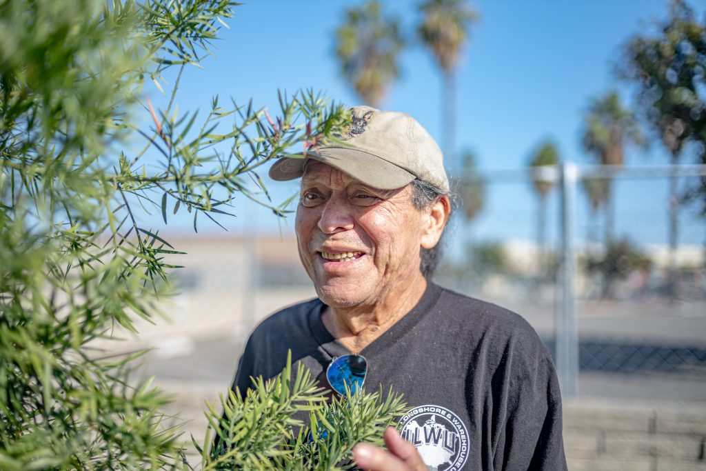 As street trees struggle, one Long Beach neighbor takes watering into his own hands