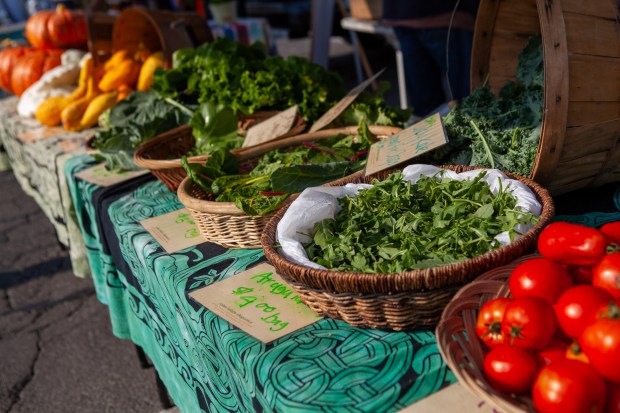 Fresh produce, including leafy greens, tomatoes, and squash, is displayed for sale at the Ukiah Farmers Market on August 8, 2015. (Chris Pugh  Ukiah Daily Journal)