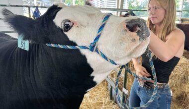 Santa Clara County Fair moves to August | Morgan Hill Times