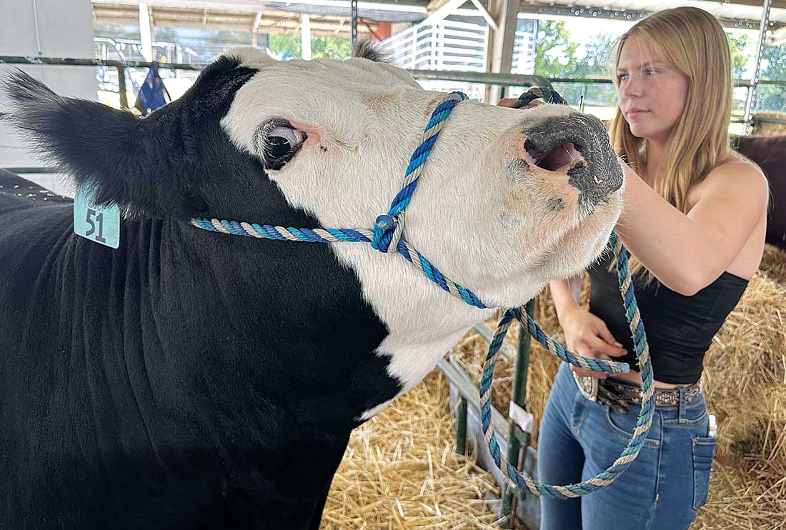 Santa Clara County Fair moves to August | Morgan Hill Times