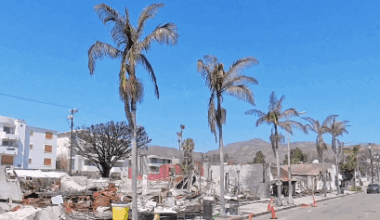 Los Angeles Proposes Broader Permit Fee Waivers for Palisades Rebuilds