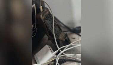 Fresno firefighters responded to a reported house fire Tuesday, Jan. 6, 2026, afternoon and determined smoke inside a home was caused by a malfunctioning cell phone left charging, officials said. (Fresno FD)