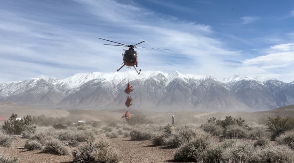 The California Department of Fish and Wildlife to conduct wildlife captures in order to attach...